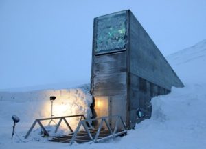 Norvegia: l'arca dell'apocalisse