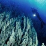 Nella Fossa delle Marianne c'è vita in abbondanza 