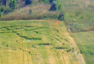 Potenza: misteriosi cerchi nel grano 
