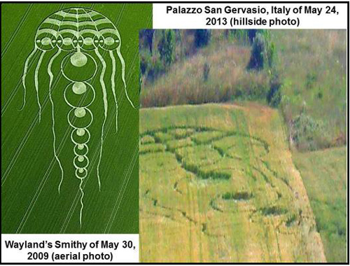 Potenza: misteriosi cerchi nel grano