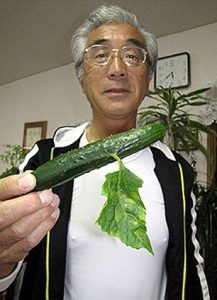 Fukushima: crescono vegetali mutanti nei pressi della centrale atomica