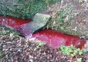 Fiume diventa improvvisamente rosso