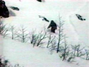 Svelato il mistero dell'abominevole uomo delle nevi