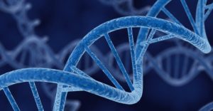 Ora è ufficiale: i traumi si ereditano da genitori a figli e nipoti fino a tre generazioni